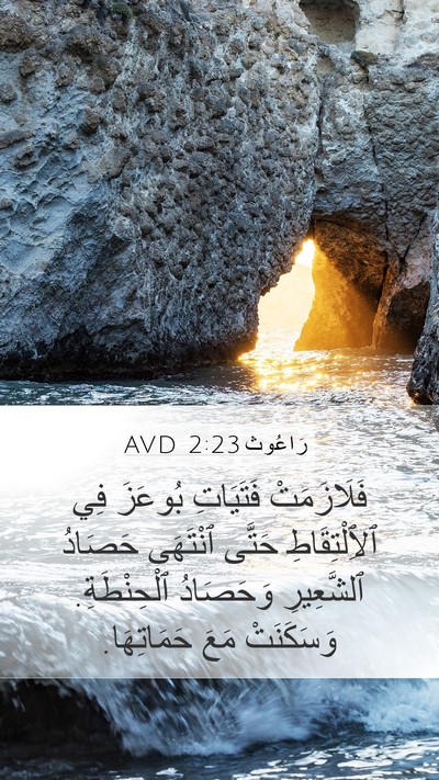 رَاعُوث 2:23 AVD Bible Verse Image