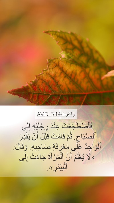 رَاعُوث 3:14 AVD Mobile Phone Wallpaper - فَٱضْطَجَعَتْ عِنْدَ - Mobile Bible Verse Wallpaper