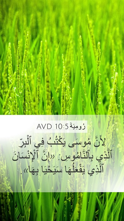رُومِيَةَ 10:5 AVD Bible Verse Image