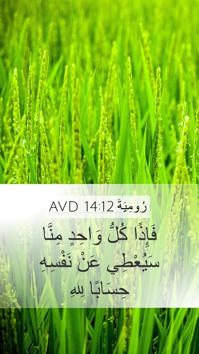 رُومِيَةَ 14:12 AVD Mobile Phone Wallpaper - فَإِذًا كُلُّ وَاحِدٍ - Mobile Bible Verse Wallpaper