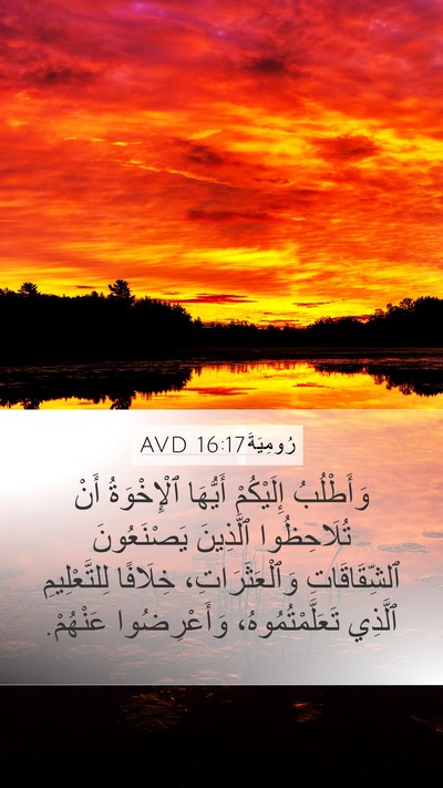 رُومِيَةَ 16:17 AVD Bible Verse Image