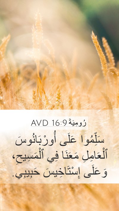 رُومِيَةَ 16:9 AVD Mobile Phone Wallpaper - سَلِّمُوا عَلَى - Mobile Bible Verse Wallpaper