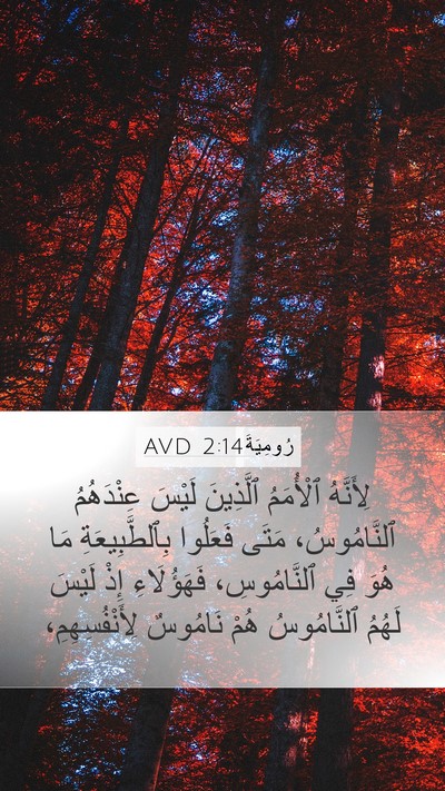 رُومِيَةَ 2:14 AVD Bible Verse Image