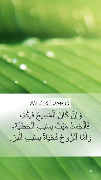 رُومِيَةَ 8:10 AVD Bible Verse Image