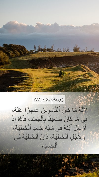 رُومِيَةَ 8:3 AVD Bible Verse Image