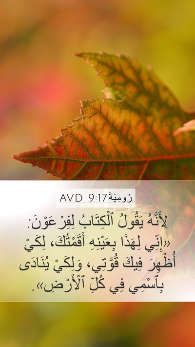 رُومِيَةَ 9:17 AVD Bible Verse Image