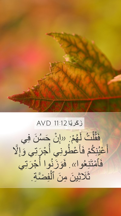زَكَريَّا 11:12 AVD Bible Verse Image