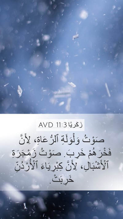 زَكَريَّا 11:3 AVD Bible Verse Image