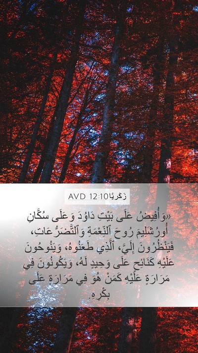 زَكَريَّا 12:10 AVD Bible Verse Image