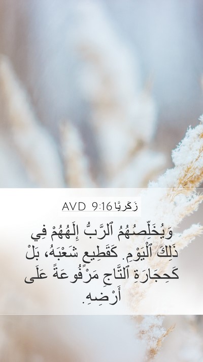 زَكَريَّا 9:16 AVD Bible Verse Image
