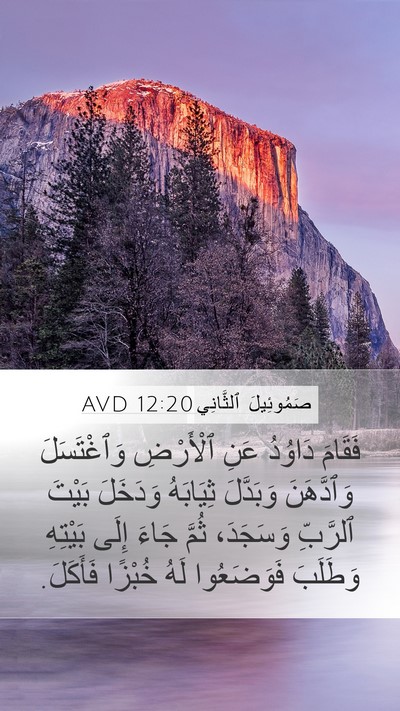 صَمُوئِيلَ ٱلثَّانِي 12:20 AVD Bible Verse Image