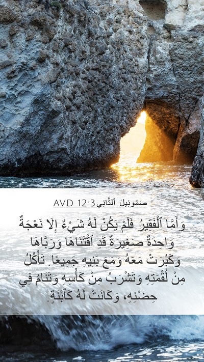 صَمُوئِيلَ ٱلثَّانِي 12:3 AVD Mobile Phone Wallpaper - وَأَمَّا ٱلْفَقِيرُ - Mobile Bible Verse Wallpaper