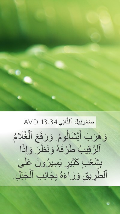 صَمُوئِيلَ ٱلثَّانِي 13:34 AVD Bible Verse Image