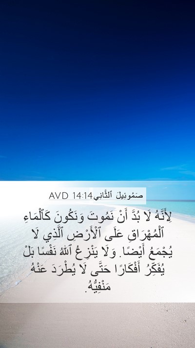 صَمُوئِيلَ ٱلثَّانِي 14:14 AVD Bible Verse Image