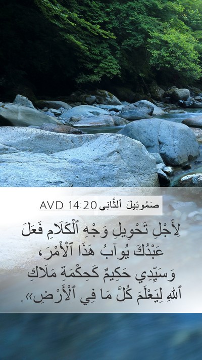 صَمُوئِيلَ ٱلثَّانِي 14:20 AVD Bible Verse Image