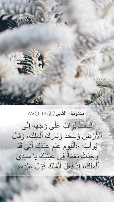 صَمُوئِيلَ ٱلثَّانِي 14:22 AVD Bible Verse Image