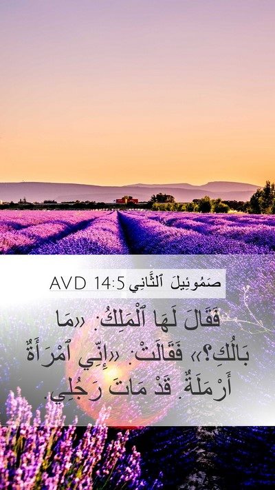 صَمُوئِيلَ ٱلثَّانِي 14:5 AVD Bible Verse Image