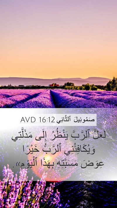 صَمُوئِيلَ ٱلثَّانِي 16:12 AVD Bible Verse Image