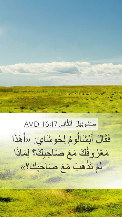 صَمُوئِيلَ ٱلثَّانِي 16:17 AVD Bible Verse Image