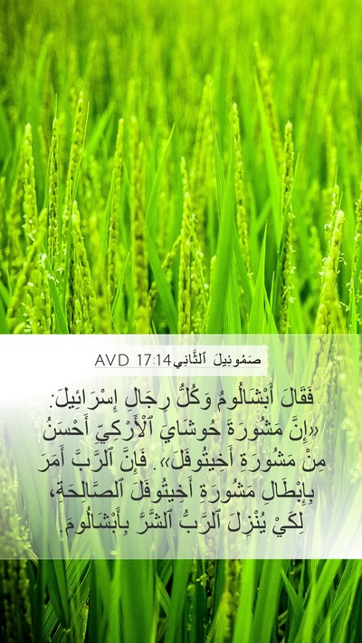 صَمُوئِيلَ ٱلثَّانِي 17:14 AVD Bible Verse Image