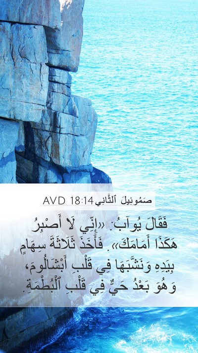 صَمُوئِيلَ ٱلثَّانِي 18:14 AVD Bible Verse Image