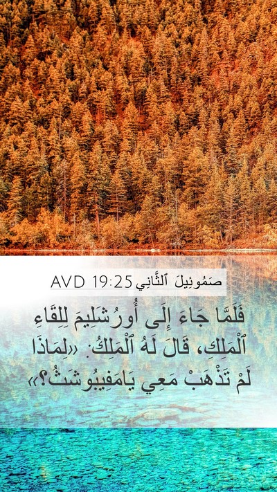 صَمُوئِيلَ ٱلثَّانِي 19:25 AVD Mobile Phone Wallpaper - فَلَمَّا جَاءَ إِلَى - Mobile Bible Verse Wallpaper