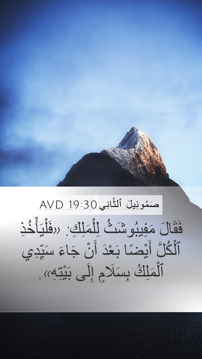 صَمُوئِيلَ ٱلثَّانِي 19:30 AVD Bible Verse Image