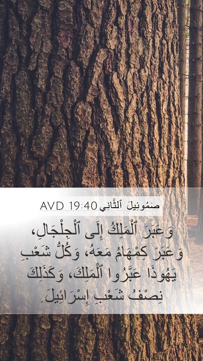 صَمُوئِيلَ ٱلثَّانِي 19:40 AVD Mobile Phone Wallpaper - وَعَبَرَ ٱلْمَلِكُ إِلَى - Mobile Bible Verse Wallpaper