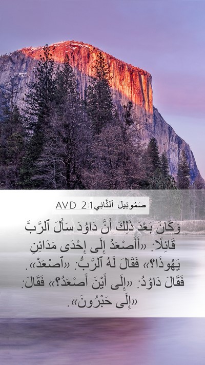 صَمُوئِيلَ ٱلثَّانِي 2:1 AVD Bible Verse Image