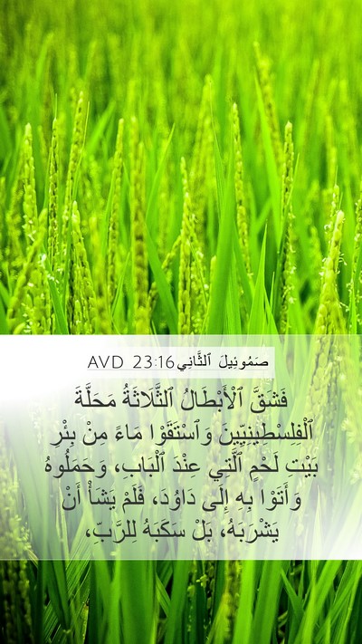 صَمُوئِيلَ ٱلثَّانِي 23:16 AVD Bible Verse Image