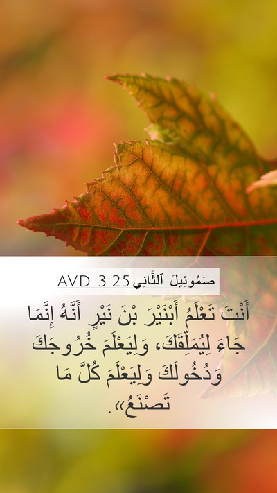 صَمُوئِيلَ ٱلثَّانِي 3:25 AVD Bible Verse Image