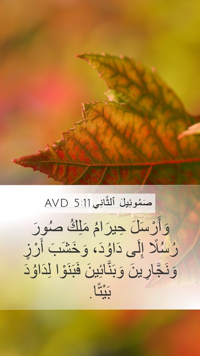 صَمُوئِيلَ ٱلثَّانِي 5:11 AVD Bible Verse Image