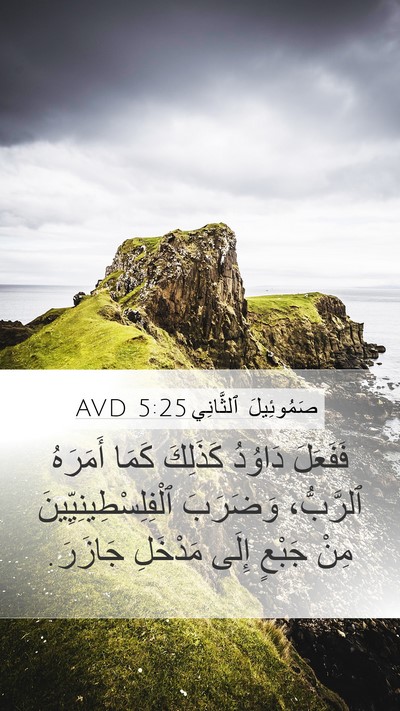 صَمُوئِيلَ ٱلثَّانِي 5:25 AVD Bible Verse Image