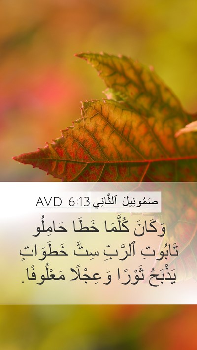 صَمُوئِيلَ ٱلثَّانِي 6:13 AVD Bible Verse Image