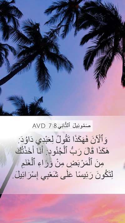 صَمُوئِيلَ ٱلثَّانِي 7:8 AVD Bible Verse Image