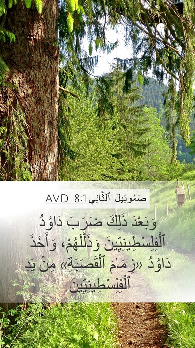 صَمُوئِيلَ ٱلثَّانِي 8:1 AVD Bible Verse Image