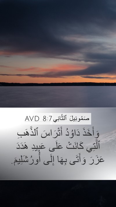 صَمُوئِيلَ ٱلثَّانِي 8:7 AVD Mobile Phone Wallpaper - وَأَخَذَ دَاوُدُ - Mobile Bible Verse Wallpaper