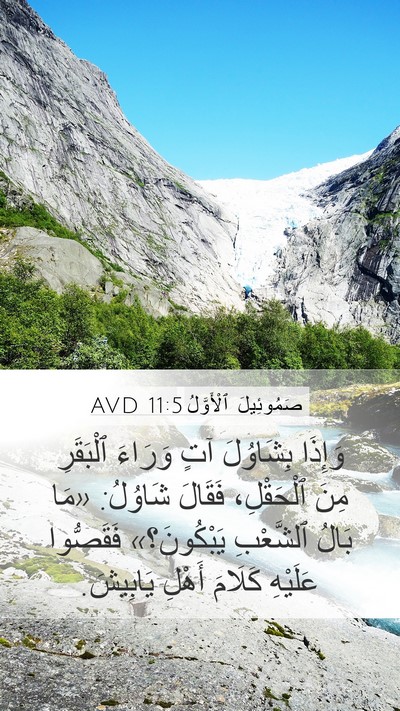 صَمُوئِيلَ ٱلْأَوَّلُ 11:5 AVD Bible Verse Image