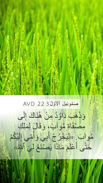 صَمُوئِيلَ ٱلْأَوَّلُ 22:3 AVD Bible Verse Image