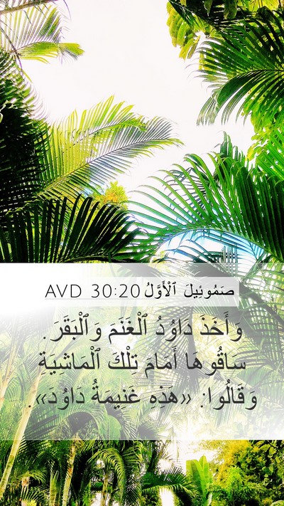 صَمُوئِيلَ ٱلْأَوَّلُ 30:20 AVD Bible Verse Image