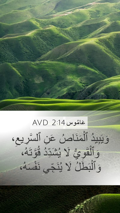 عَامُوس 2:14 AVD Bible Verse Image