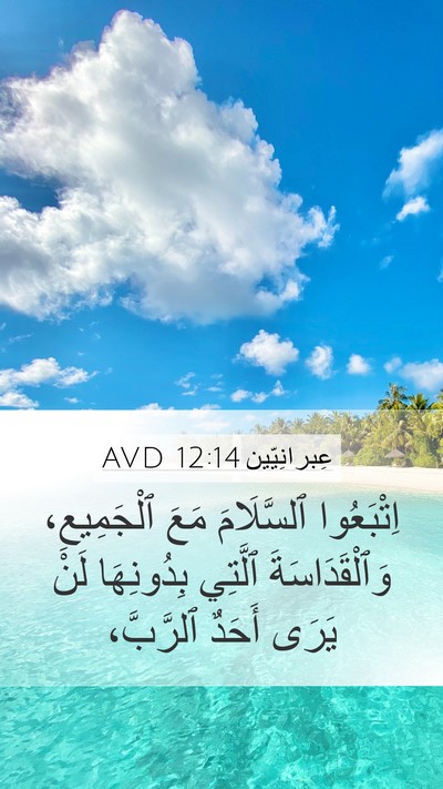 عِبرانِيّين 12:14 AVD Bible Verse Image