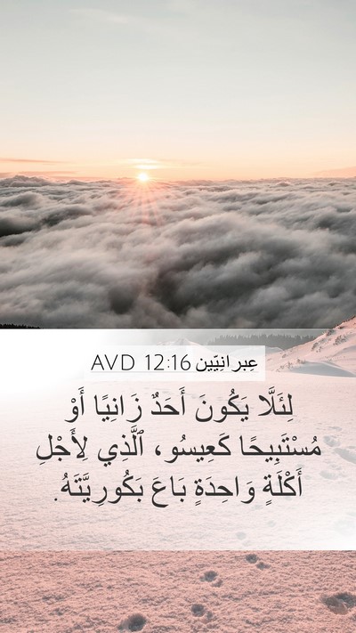 عِبرانِيّين 12:16 AVD Bible Verse Image