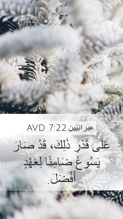 عِبرانِيّين 7:22 AVD Bible Verse Image