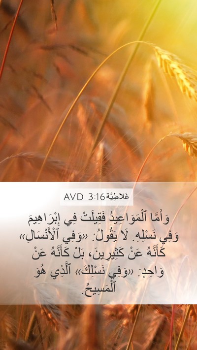 غَلاطِيَّة 3:16 AVD Bible Verse Image