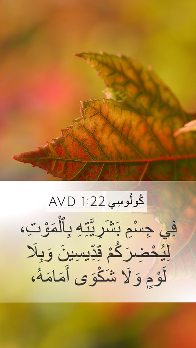 كُولُوسِي 1:22 AVD Bible Verse Image