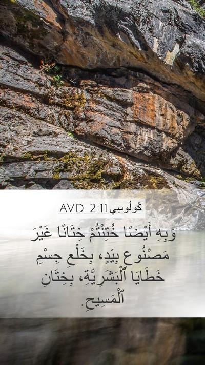 كُولُوسِي 2:11 AVD Bible Verse Image