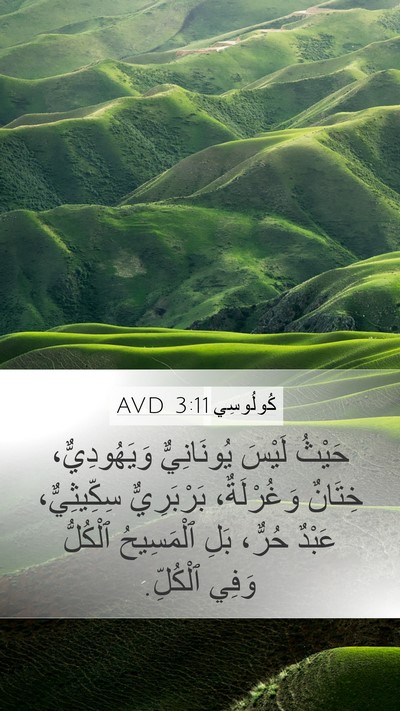 كُولُوسِي 3:11 AVD Bible Verse Image