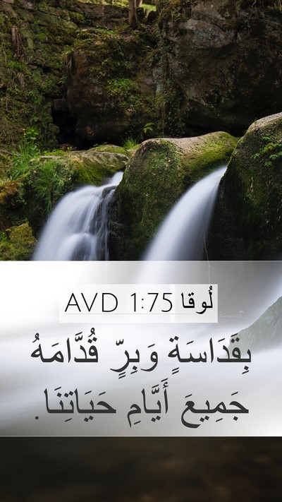 لُوقا 1:75 AVD Mobile Phone Wallpaper - بِقَدَاسَةٍ وَبِرٍّ - Mobile Bible Verse Wallpaper