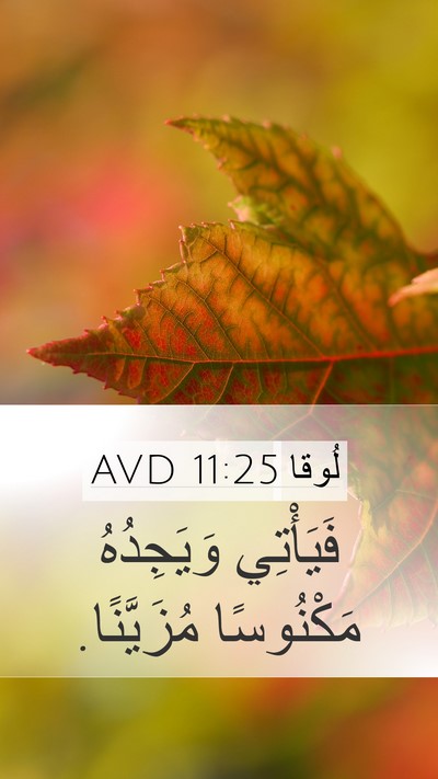 لُوقا 11:25 AVD Mobile Phone Wallpaper - فَيَأْتِي وَيَجِدُهُ - Mobile Bible Verse Wallpaper